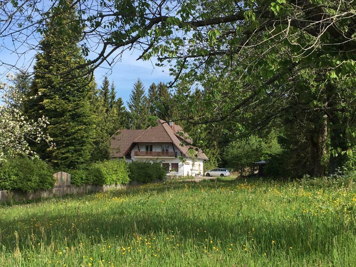 B & B Der Waldvogel Herrischried Exterior photo