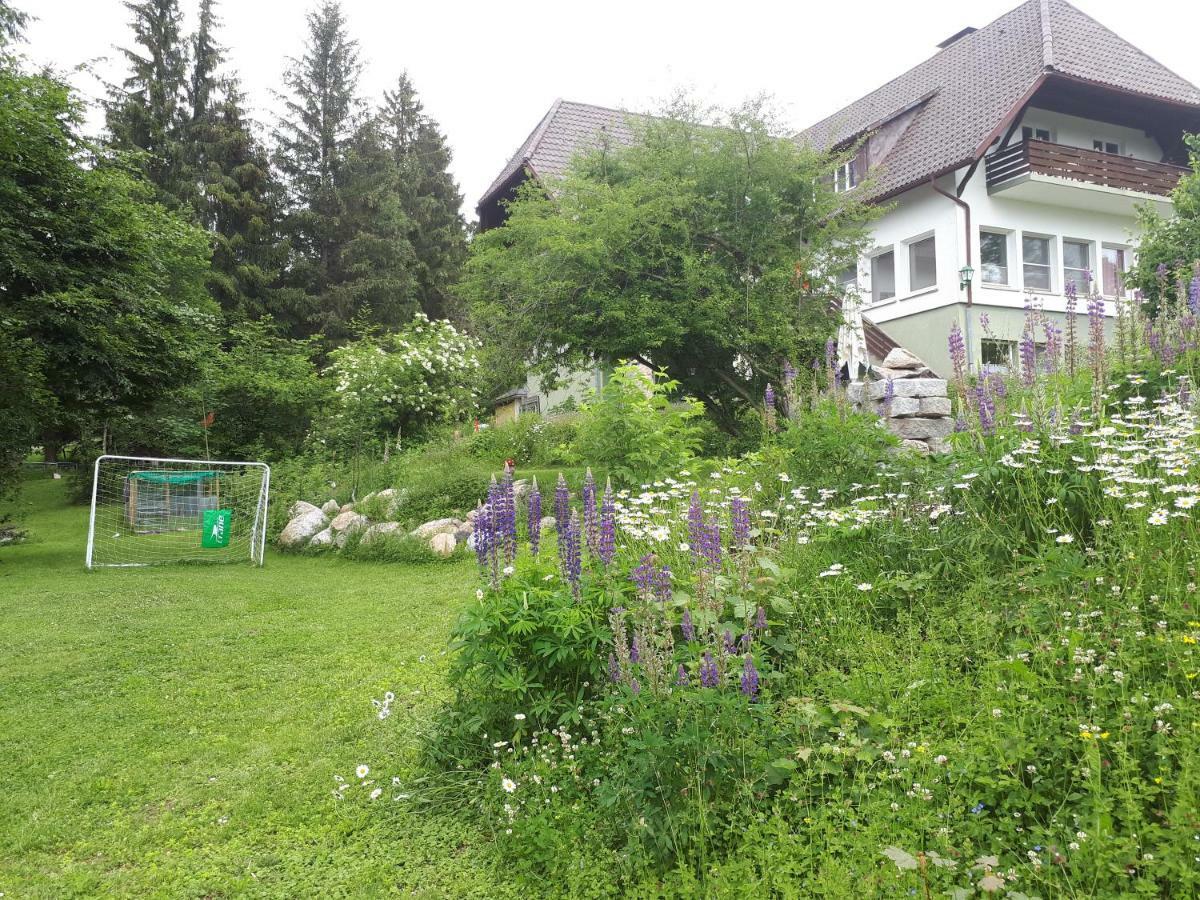 B & B Der Waldvogel Herrischried Exterior photo
